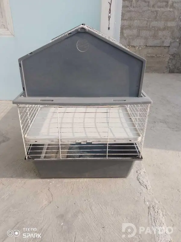 Клетка