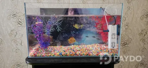 Fish